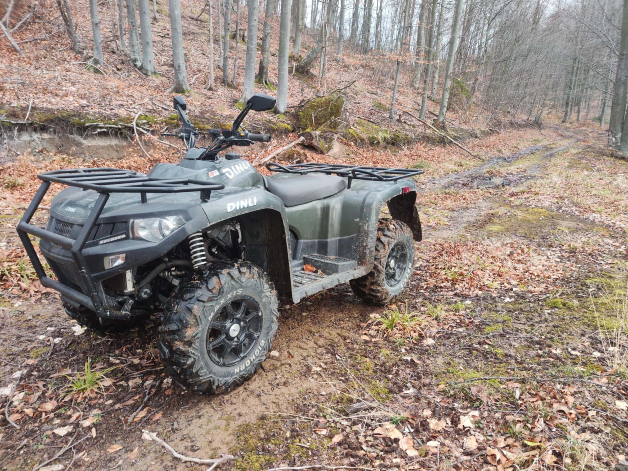 Aktivnosti u prirodi